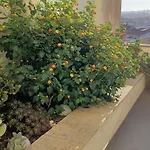 The Sunset Hideout