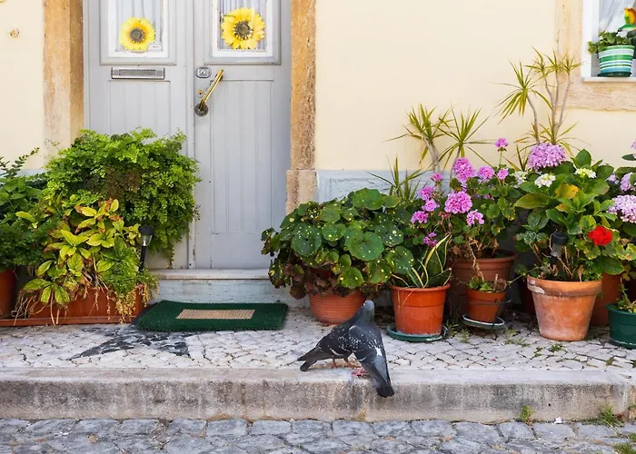 Lägenhet The Sunset Hideout