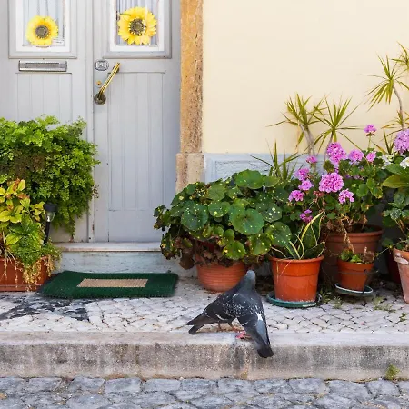 Apartament The Sunset Hideout